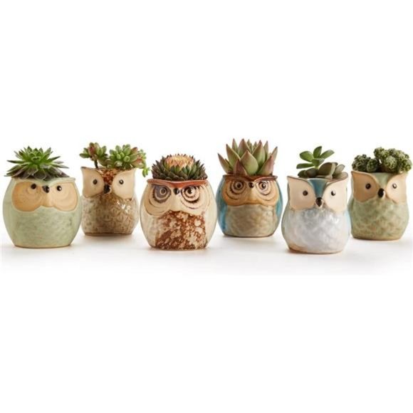 Owl Pot Ceramic Flowing Glaze Base Serial Set Succulent Plant Pot Cactus Plant - Picture 4 of 6